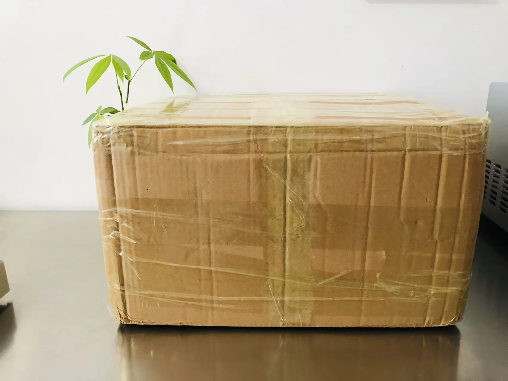 কার্টুন সলিড ইপোক্সি স্টিকার এখন জাপানের পথে